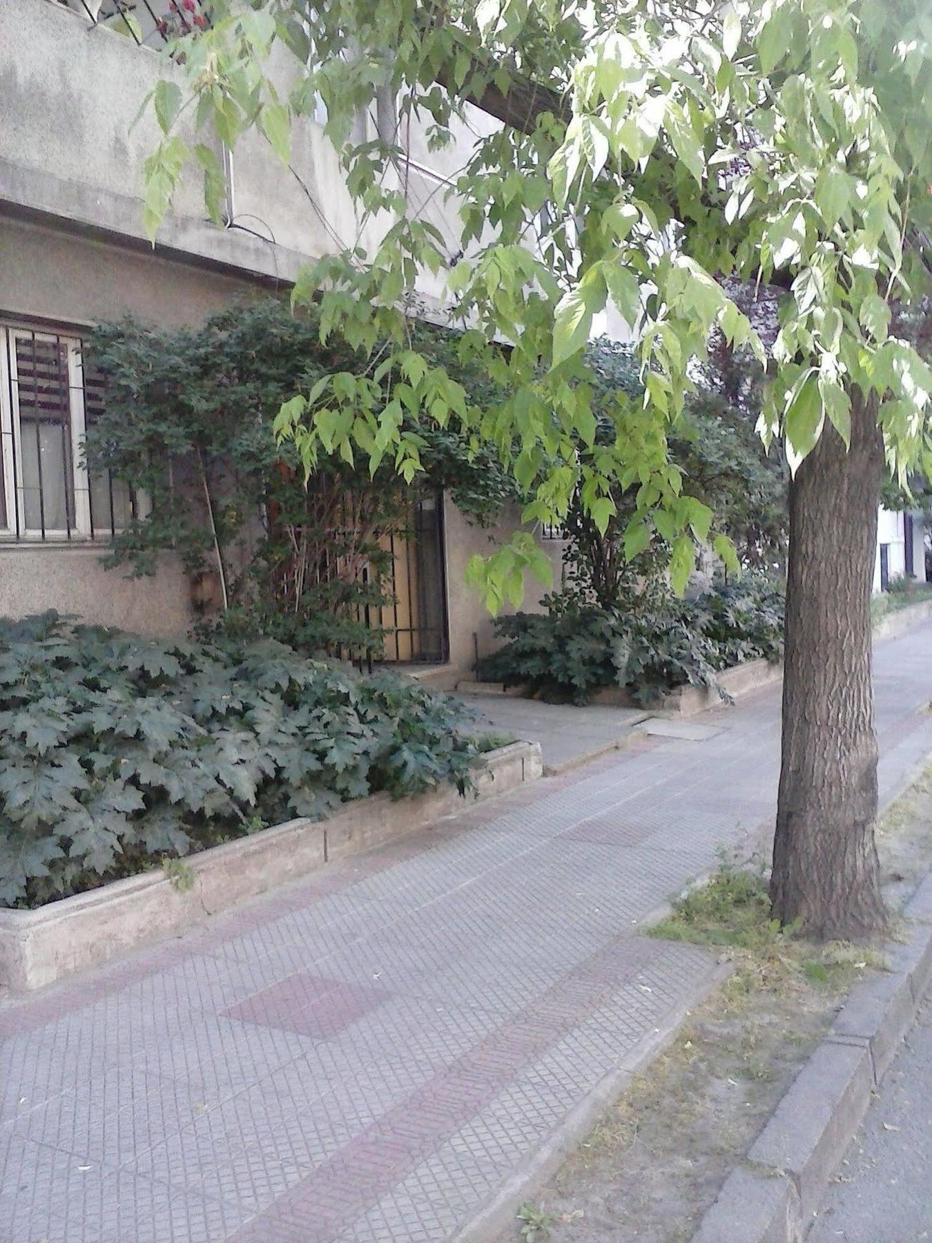 Marilu 'S Bed And Breakfast Hostel ซานติอาโก ภายนอก รูปภาพ